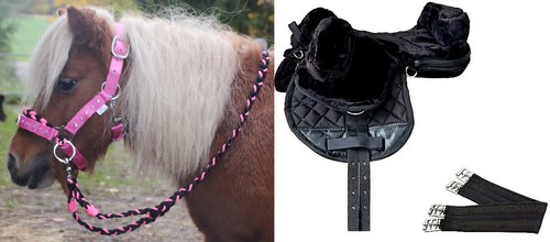 Komplettes mini shetty - mini,