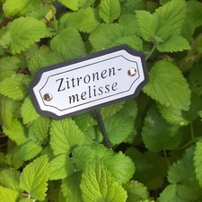 Kräuterschild Kräuterstecker