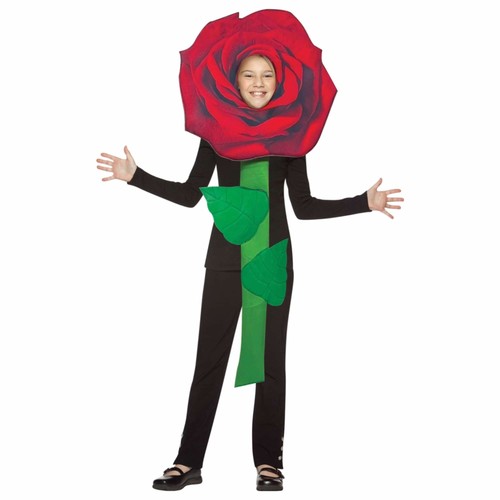 Rote rose blume - pflanze, garten