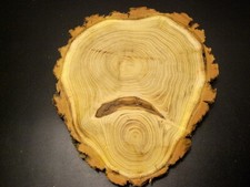 3 x Baumscheiben  Steakbrett