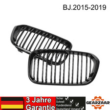 Sport Kühlergrill Doppelsteg