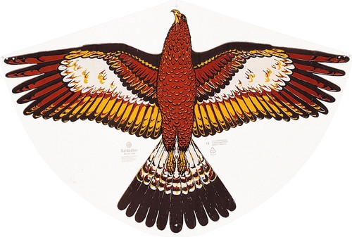 Drachen goldadler 92x62cm - drachen, goldadler,