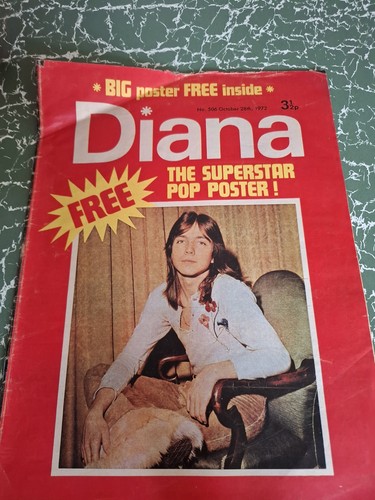 David cassidy cover - :, vintage