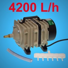 TOP Teich Aquarium Zubehör