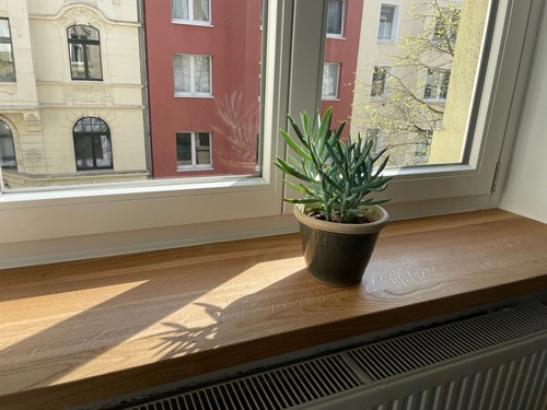Fensterbank buche massiv - fensterbank,