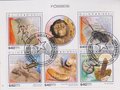 Fosilien guine bissau - fosilien,