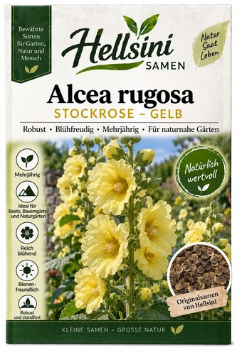 Gelbe stockrose alcea rugosa - alcea,