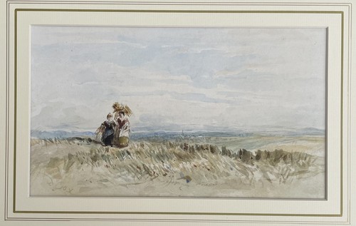 David cox ows aquarell - david,