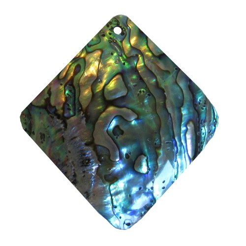 Paua shell muschel anhänger - shell,