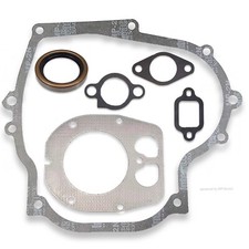 Tecumseh Rep Dichtung Vergaser