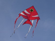 Flugdrachen Drachen Einleiner roter Fisch