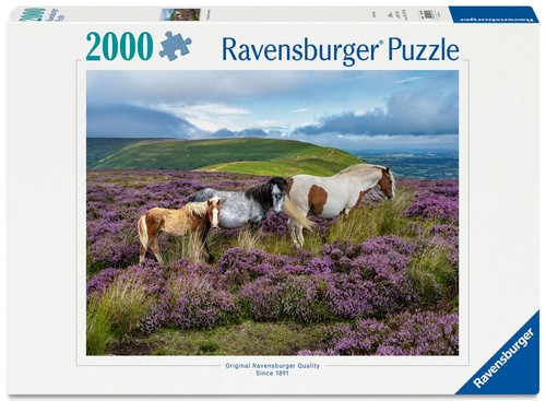 Erwachsenenpuzzle 2000 teile - erwachsenenpuzzle,