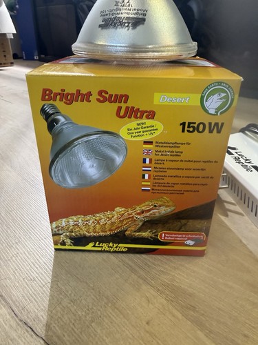 Lucky reptile bright - lucky,