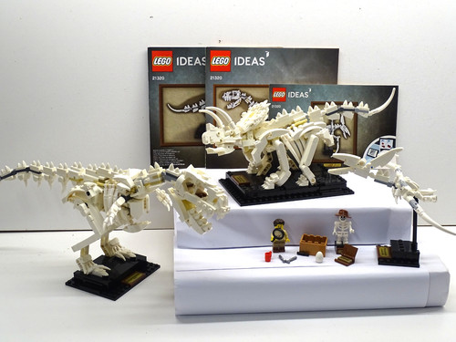 Lego ideas 21320 - lego,