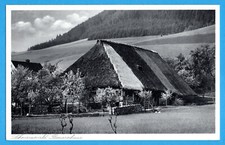 Schwarzwald (um 1925) - Schwarzwaldhaus / Bauernhaus - AK 570