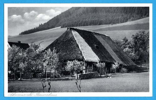 Schwarzwald - 1925),