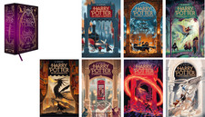 Harry Potter 1-7 zur Auswahl