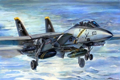 14b tomcat trumpeter 32 - f-14b,