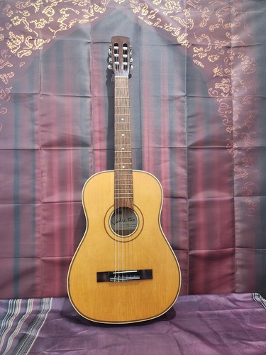 Alte vintage gitarre sheltone - gitarre,