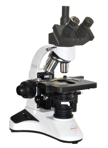 Radical rxl5 phasenkontrast - radical,