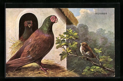 Künstler august müller - künstler-ak,