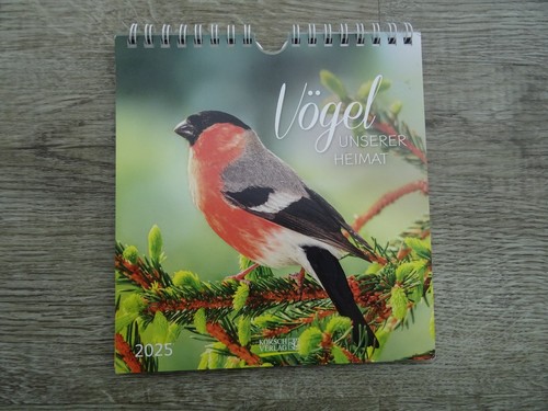 Vögel postkarten kalender - vögel,