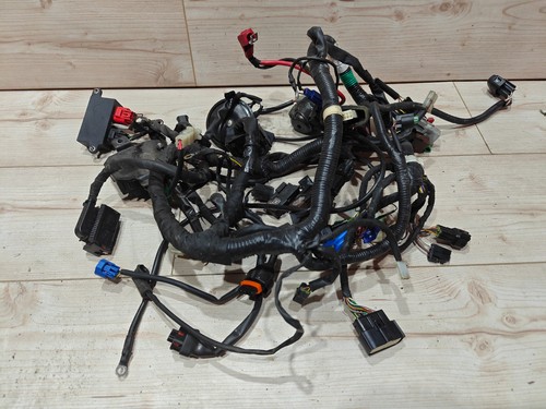 Ktm duke 200 - 200, kabelbaum