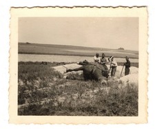 Foto/Portrait französische Kolonialtruppen; Soldaten & totes Pferd; Grabung
