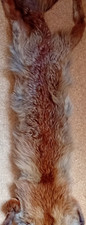 Pelzschal mit fuchskopf - pelzschal,