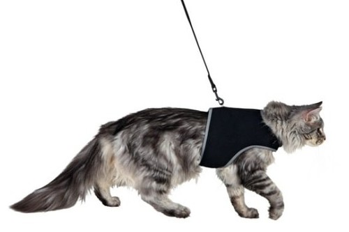 Trixi katze softgeschirr - katze,