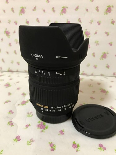 Nikon sigma 125mm - sigma, 18-125mm