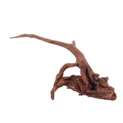 Driftwood flußwurzel - driftwood,