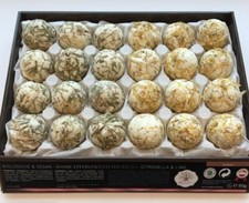 Vegane Bio Badekugel