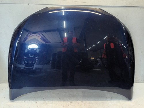 Seat ibiza motorhaube - ibiza,