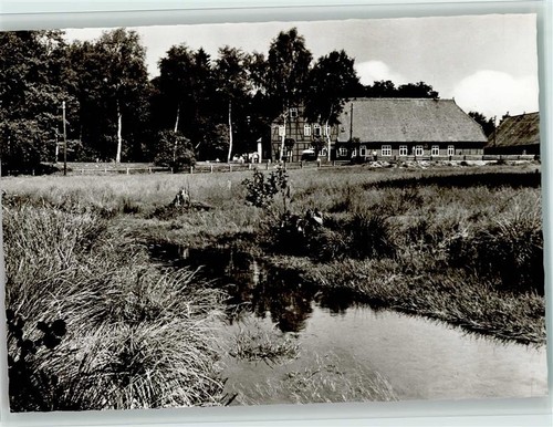 40138442 3104 lutterloh - 40138442,
