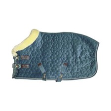 Turnierdecke 160g show - turnierdecke, rug