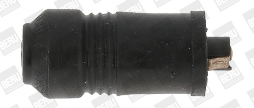 Borgwarner - borgwarner, (beru)