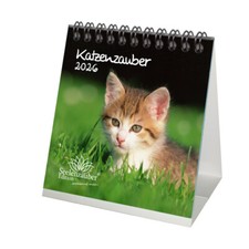 Katzenzauber Tischkalender