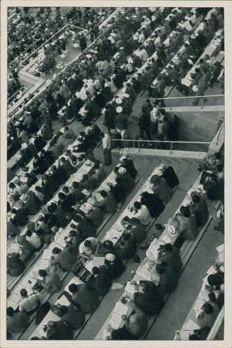 Sammelbild olympia 1936 - sammelbild,