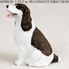 Springer spaniel mini - spaniel,