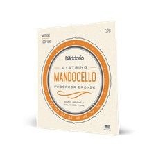 D'Addario EJ78 Mandocello