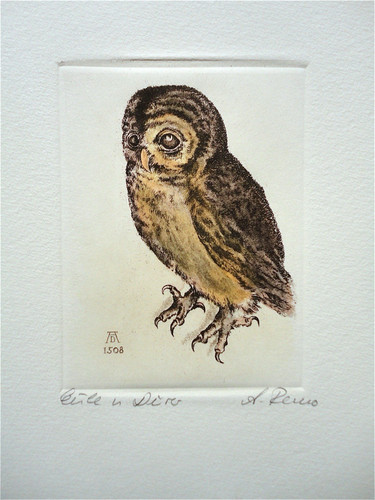 Original radierung nach dürer - radierung,