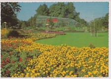 AK - (D) - Hamburg - IGA 26.4.-13.10.1963 - Blumenteppich vor dem Tropenhaus 