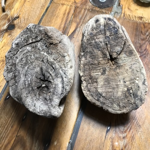 Treibholz schwemmholz holz ast - treibholz,
