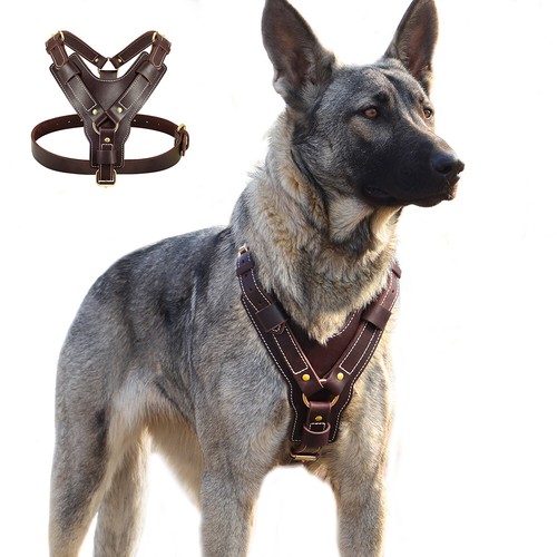 Echtes leder hundegeschirr - echtes,