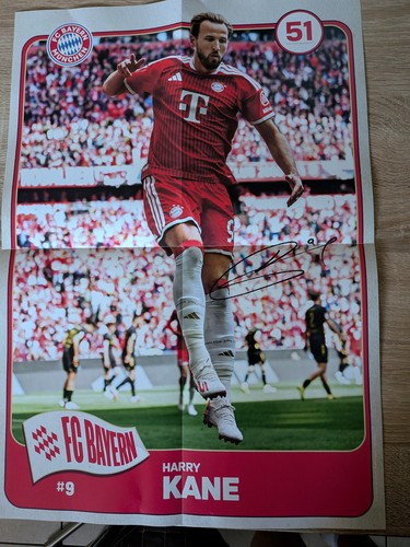 Harry kane poster - kane, 38cm