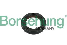 Borsehung Wellendichtring