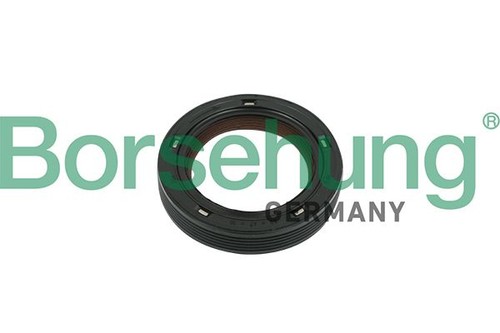 Borsehung wellendichtring - borsehung,