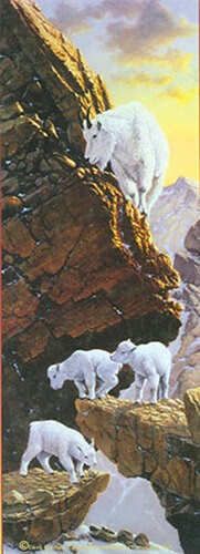 Puzzle bergziegen - (500,