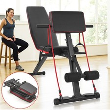 Hantelbank Training Fitness